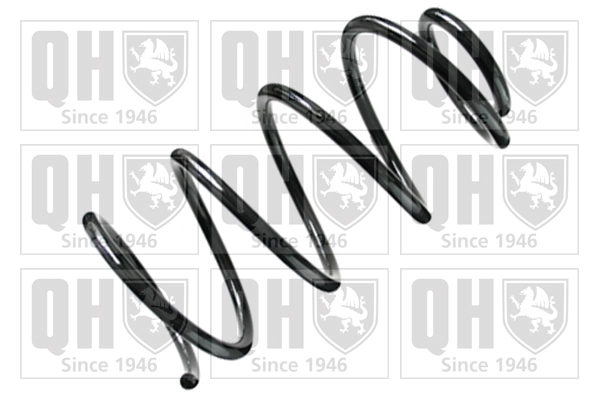 Suspension Spring (QCS8448)