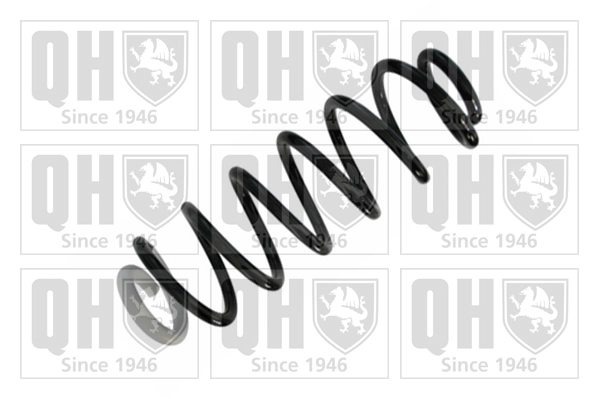 Suspension Spring (QCS8695)