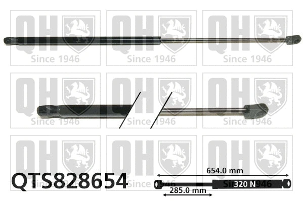 Gas Spring, bonnet (QTS828654)