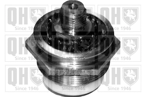 Ball Joint (QSJ876S)