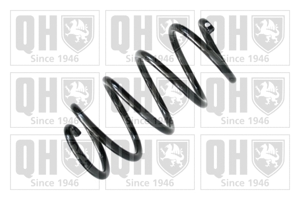 Suspension Spring (QCS6566)
