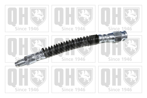 Brake Hose (BFH4731)