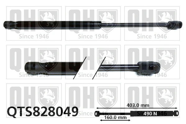 Gas Spring, boot/cargo area (QTS828049)
