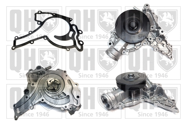 Water Pump, engine cooling (QCP3697)