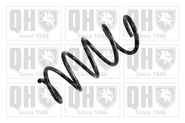 Suspension Spring (QCS7063)