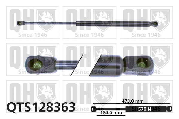 Gas Spring, boot/cargo area (QTS128363)
