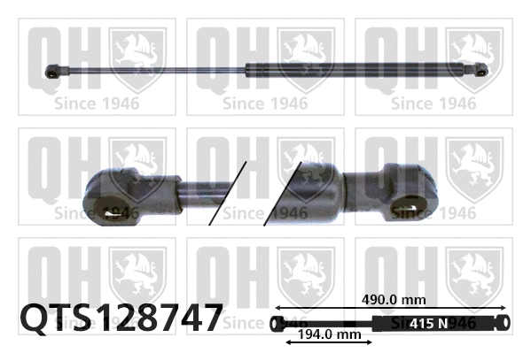 Gas Spring, bonnet (QTS128747)