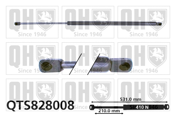 Gas Spring, boot/cargo area (QTS828008)