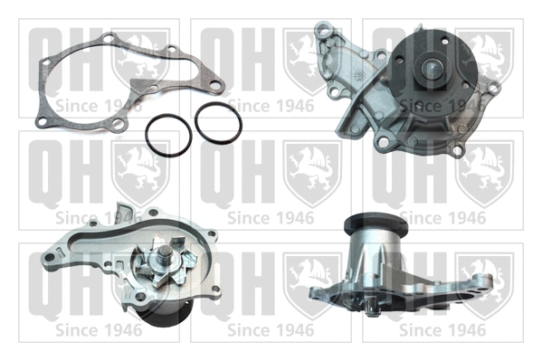 Water Pump, engine cooling (QCP2946)
