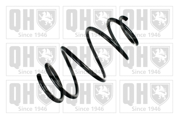 Suspension Spring (QCS6193)