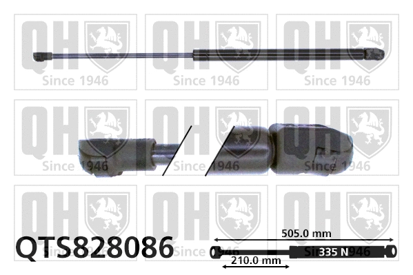 Gas Spring, boot/cargo area (QTS828086)