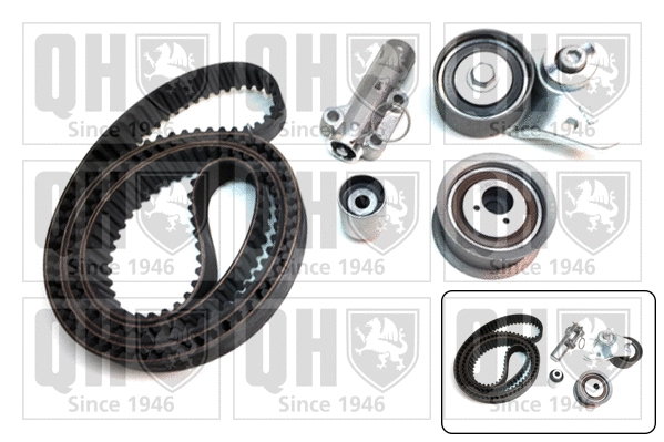 Timing Belt Kit (QBK810)