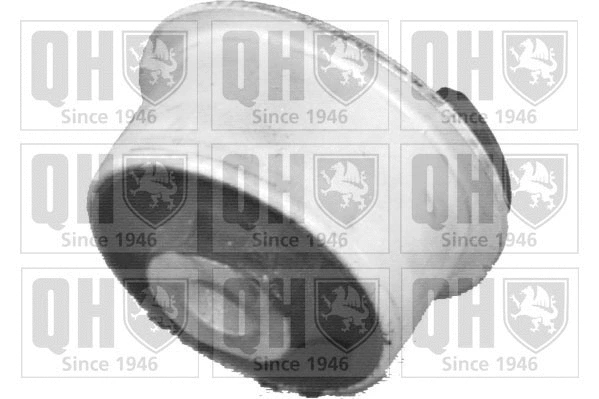 Mounting, control/trailing arm (EMS8072)