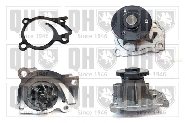 Water Pump, engine cooling (QCP3934)