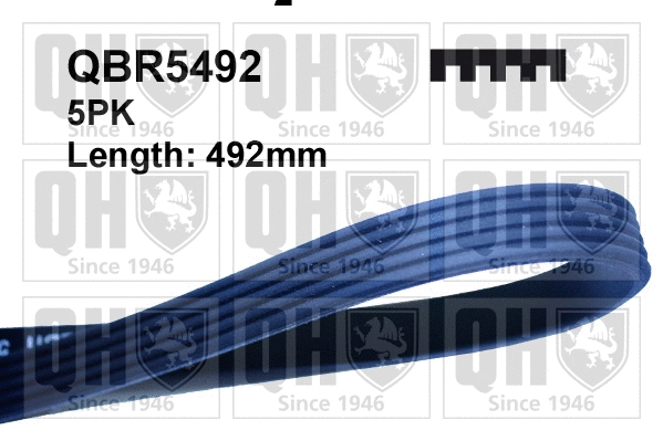 V-Ribbed Belt (QBR5492)