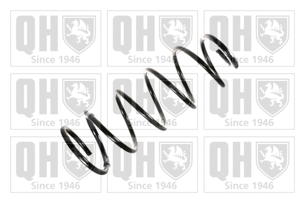 Suspension Spring (QCS8220)