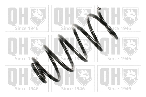 Suspension Spring (QCS6117)