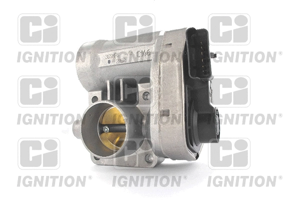 Throttle Body (XPOT528)