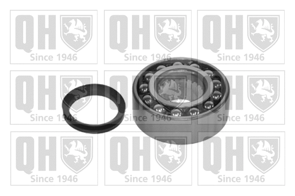 Wheel Bearing Kit (QWB738)