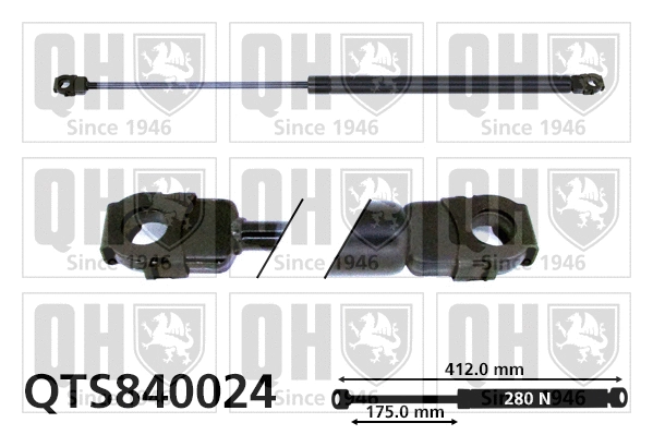 Gas Spring, bonnet (QTS840024)