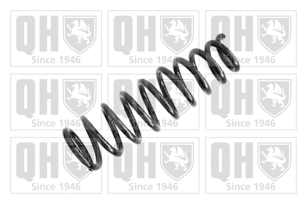 Suspension Spring (QCS6613)