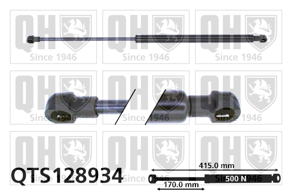 Gas Spring, boot/cargo area (QTS128934)