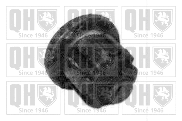 Mounting, control/trailing arm (EM2432)