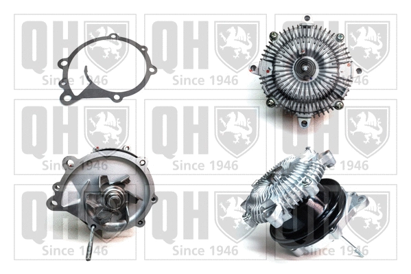 Water Pump, engine cooling (QCP2834)
