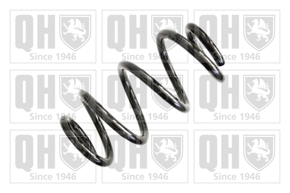 Suspension Spring (QCS5984)