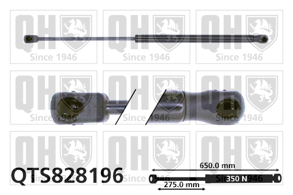 Gas Spring, bonnet (QTS828196)