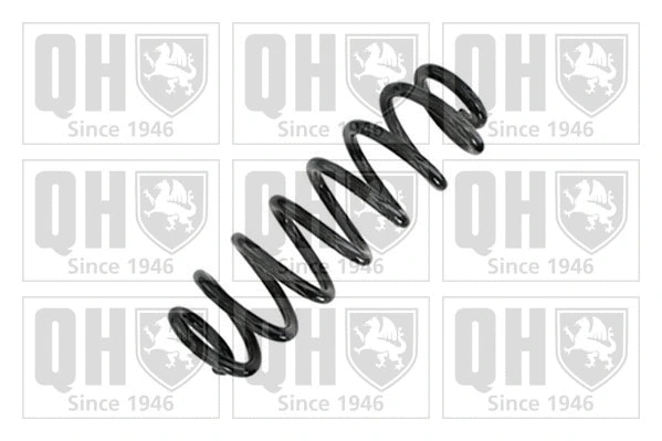 Suspension Spring (QCS9193)