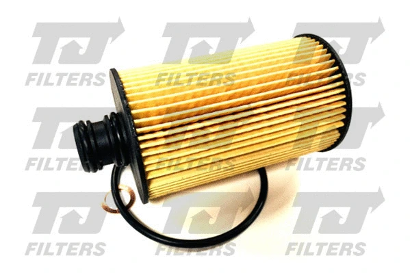 Oil Filter (QFL0395)