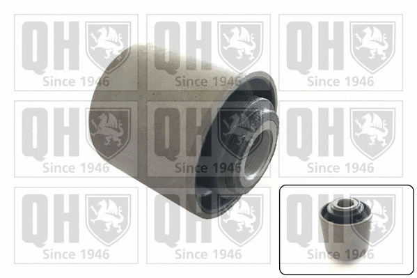 Mounting, control/trailing arm (EMS2176)