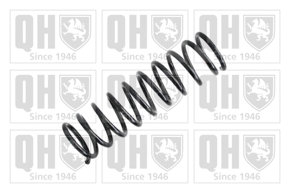 Suspension Spring (QCS6649)