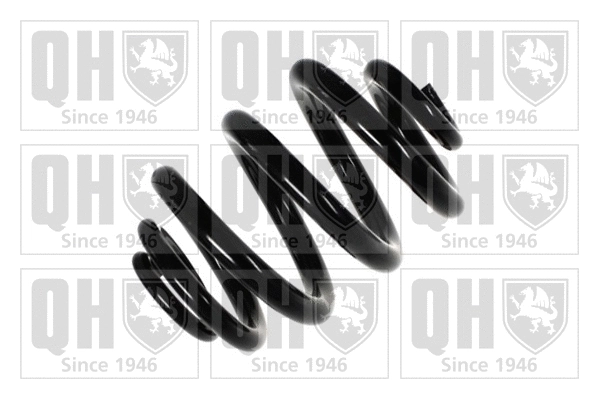 Suspension Spring (QCS6369)