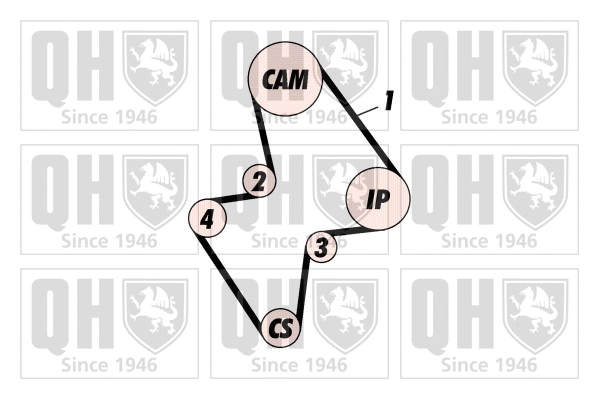 Timing Belt Kit (QBK105)