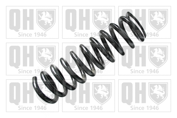 Suspension Spring (QCS5220)