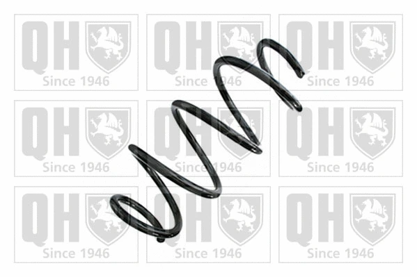 Suspension Spring (QCS8828)