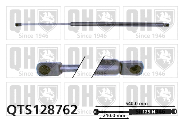 Gas Spring, bonnet (QTS128762)