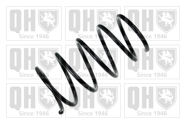 Suspension Spring (QCS7905)