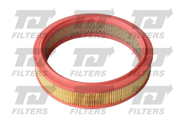 Air Filter (QFA0173)