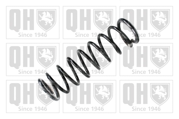 Suspension Spring (QCS5648)