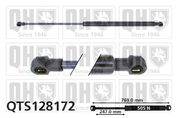 Gas Spring, boot/cargo area (QTS128172)