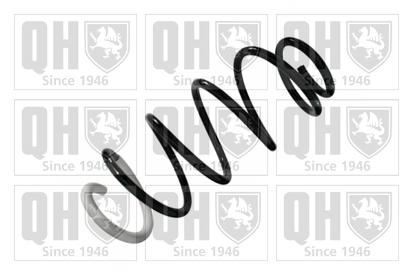 Suspension Spring (QCS8468)