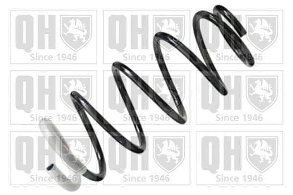 Suspension Spring (QCS6881)
