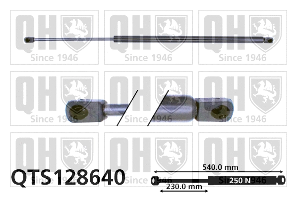 Gas Spring, bonnet (QTS128640)