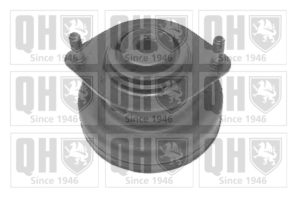 Suspension Strut Support Mount (EMR6035)