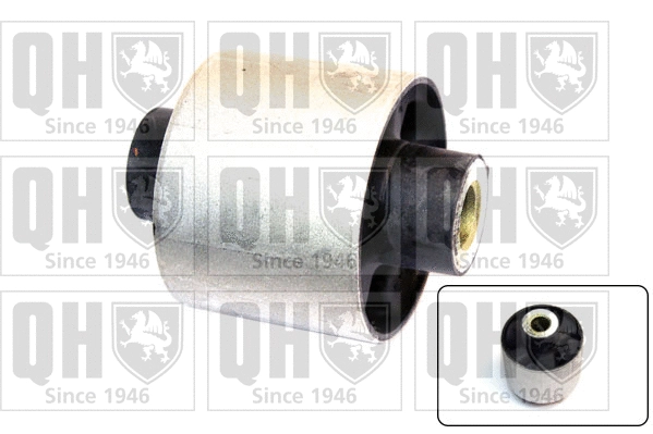 Mounting, control/trailing arm (EMS8534)