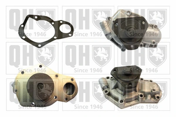 Water Pump, engine cooling (QCP3202)