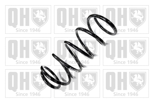 Suspension Spring (QCS5924)